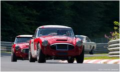 40. AvD OGP / Austin Healey 3000 Mk I