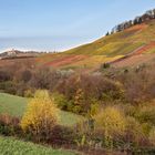 40-Herbst im Bottwartal