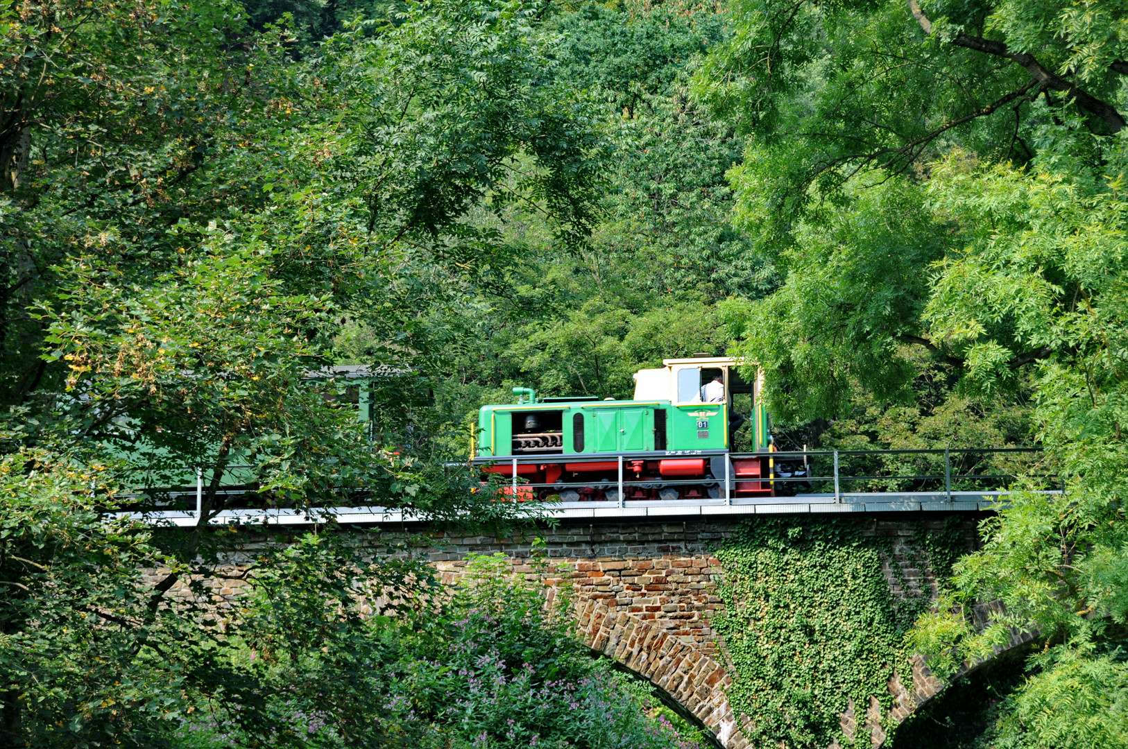 40 Jahre Brohltaleisenbahn nicht nur mit Dampf