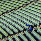 40 Jahre Olympiagelände---Stadion