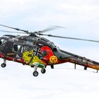 40 Jahre Sea Lynx