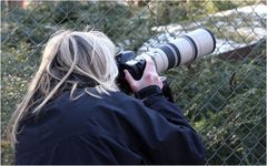 400 mm in Action