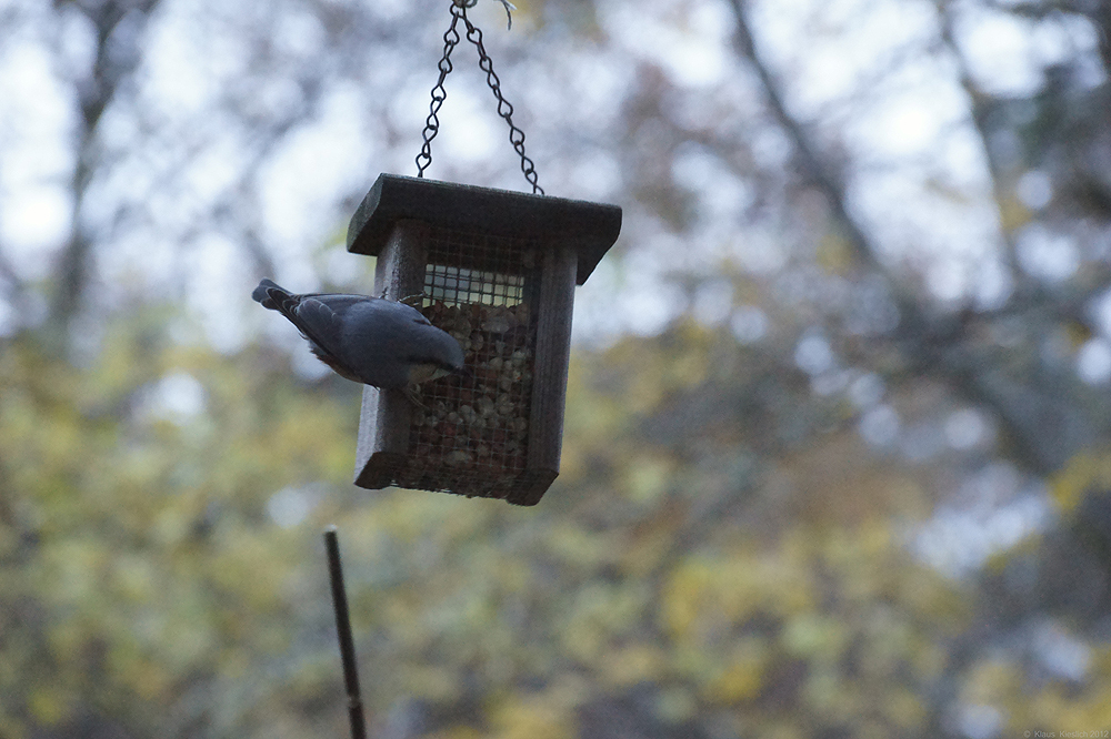 4000 ISO hab ich.....