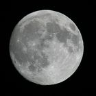 400mm 1/200sec blende 9.0