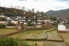 401 - Paddle Field between Dali and Kunming