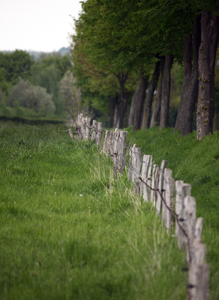 401_Der Weg in die Freiheit