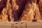 Oase in der Wüste by  Klaus Ender