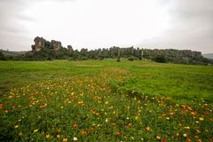 403 - The Stone Forest or Shilin