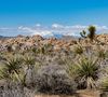 Barker Dam Trail von Minou Nowrousian