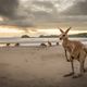 Sonnenaufgang in Australien