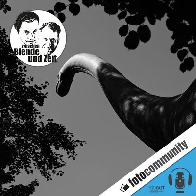 404 - Lars und Falk beantworten Eure Fragen!