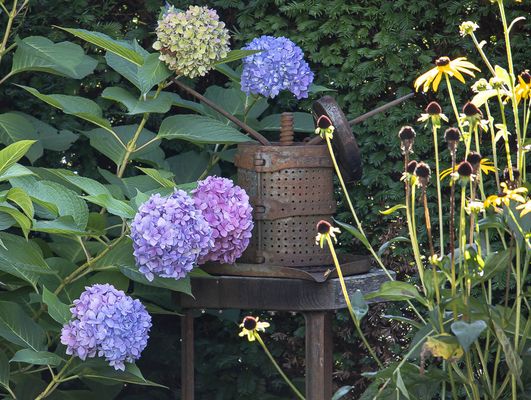 40/52 Abschied vom Sommer...