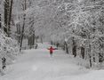 The red coat woman on wintry park de Raimo Ketolainen