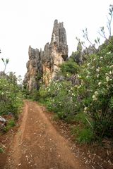 407 - The Stone Forest or Shilin