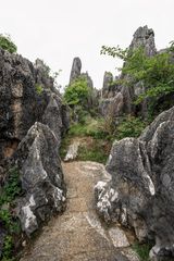 408 - The Stone Forest or Shilin