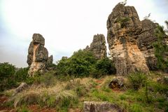 409 - The Stone Forest or Shilin