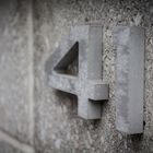 41