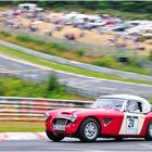 41. AvD-OGP 2013 / Austin Healey 3000 Mk I