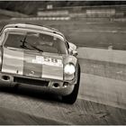 41. AvD-OGP 2013 / Porsche 904