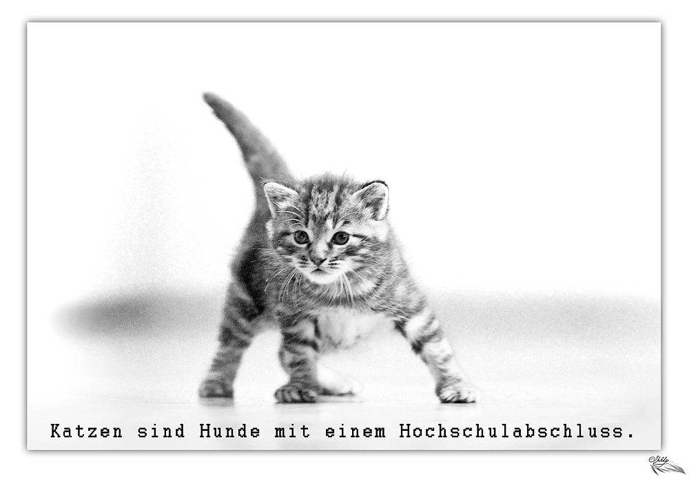 Foto & Bild tiere, tierkinder, natur Bilder auf