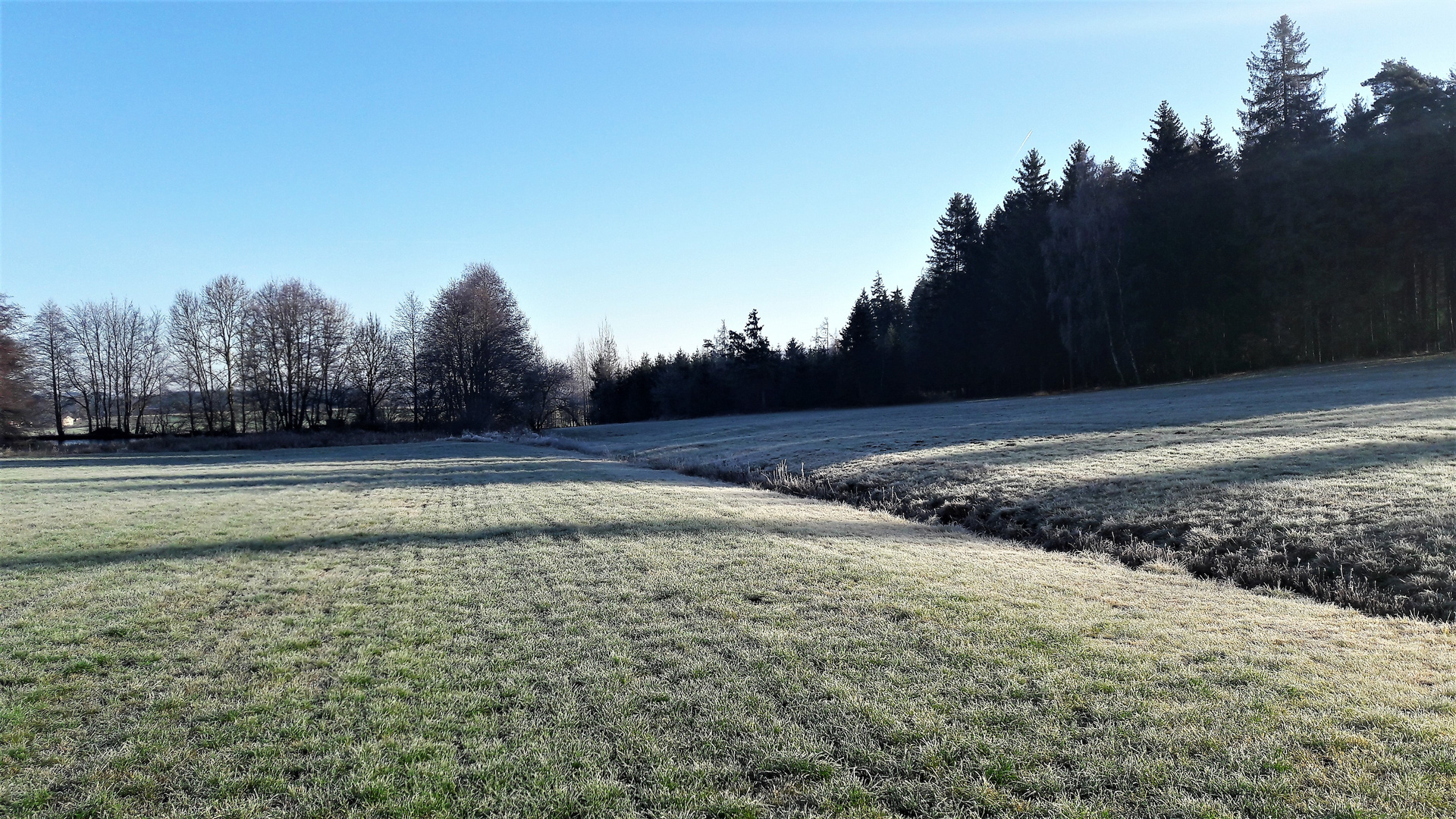 4.12.2019  Rauhreif im tiefsten Wiesengrunde 