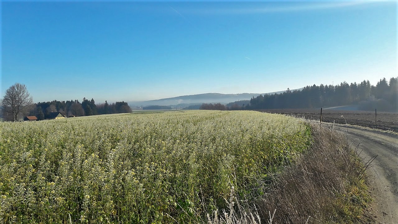 4.12.2019  Sommer oder Winter ?