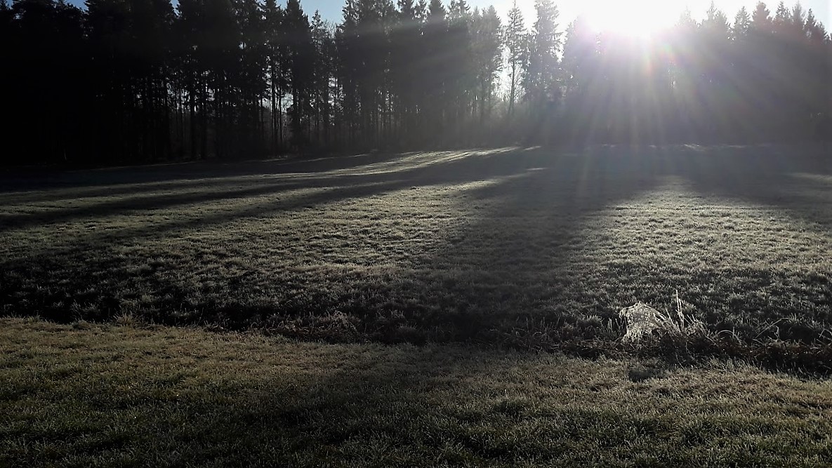 4.12.2019 Waldschatten  auf Rauhreifwiese