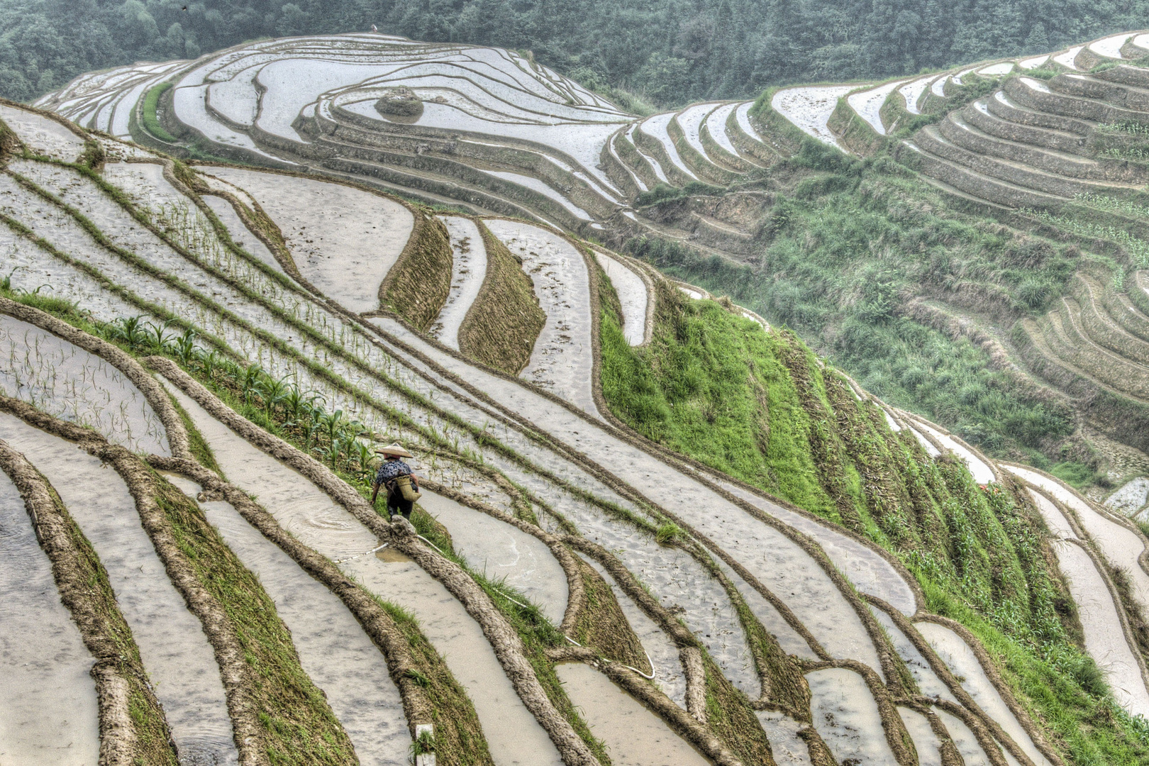 413 - Ping'an - Paddy Fields