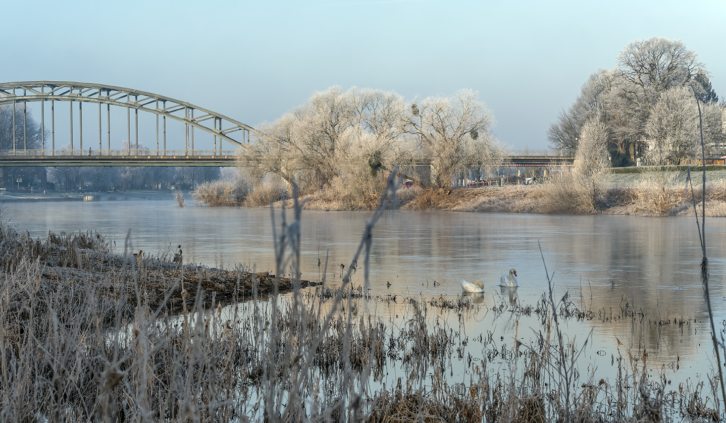 4132SB Rinteln Weser Morgenstimmung Rauhreif Winter