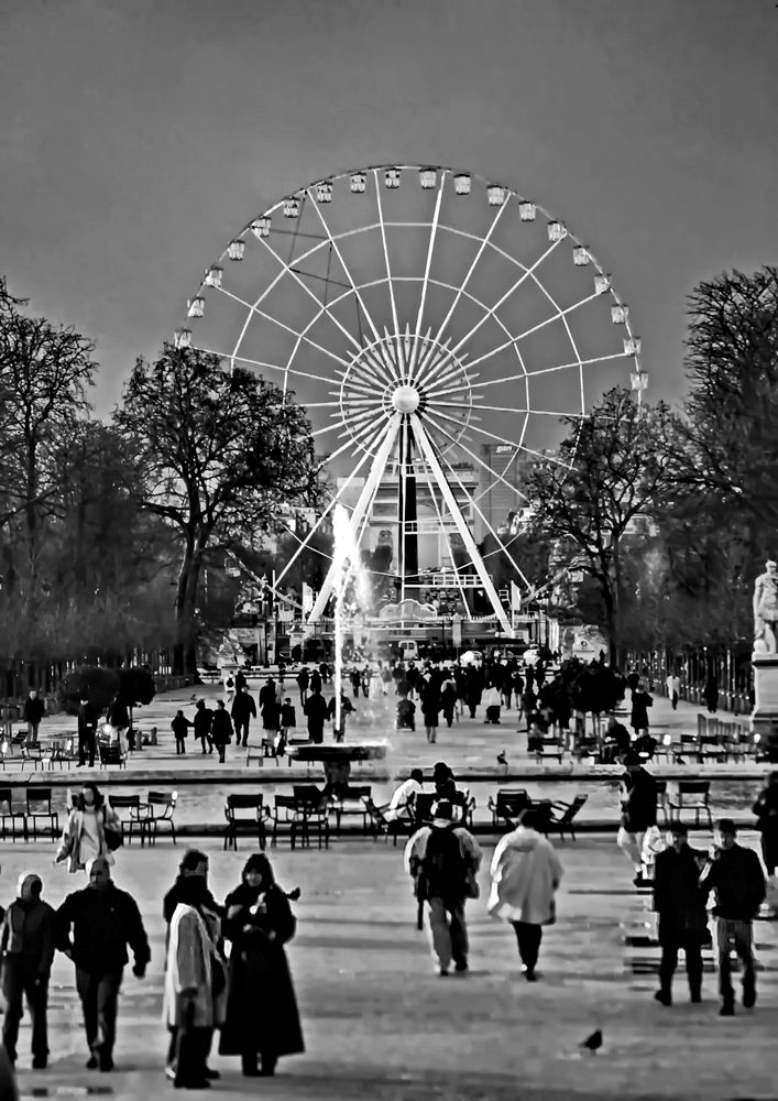 413....jardin des tuileries