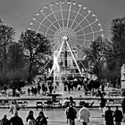 413....jardin des tuileries