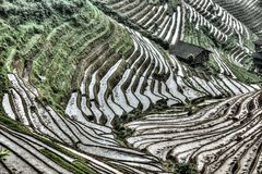 414 - Ping'an - Paddy Fields