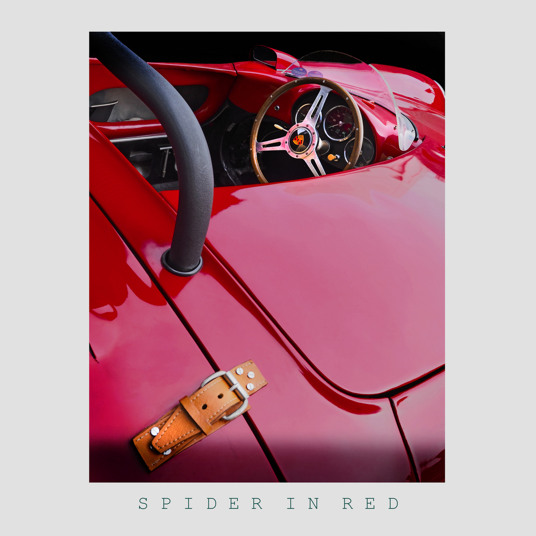 _4140007 Spider in Red