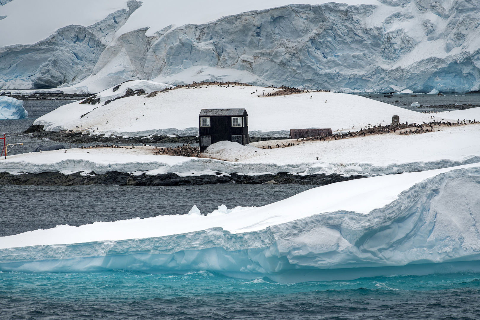 4151T Antarktis Paradies Bay Chilenische Forschungstation mit Pinguinen