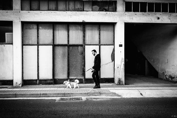 41/52 Im Vorbeigehen ...