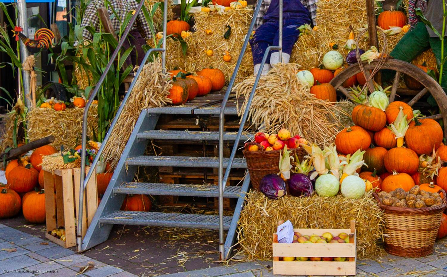 41/52 Zum Erntedank