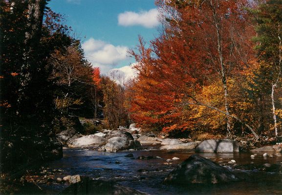 416 Adirondack Mts., 1989.10.7