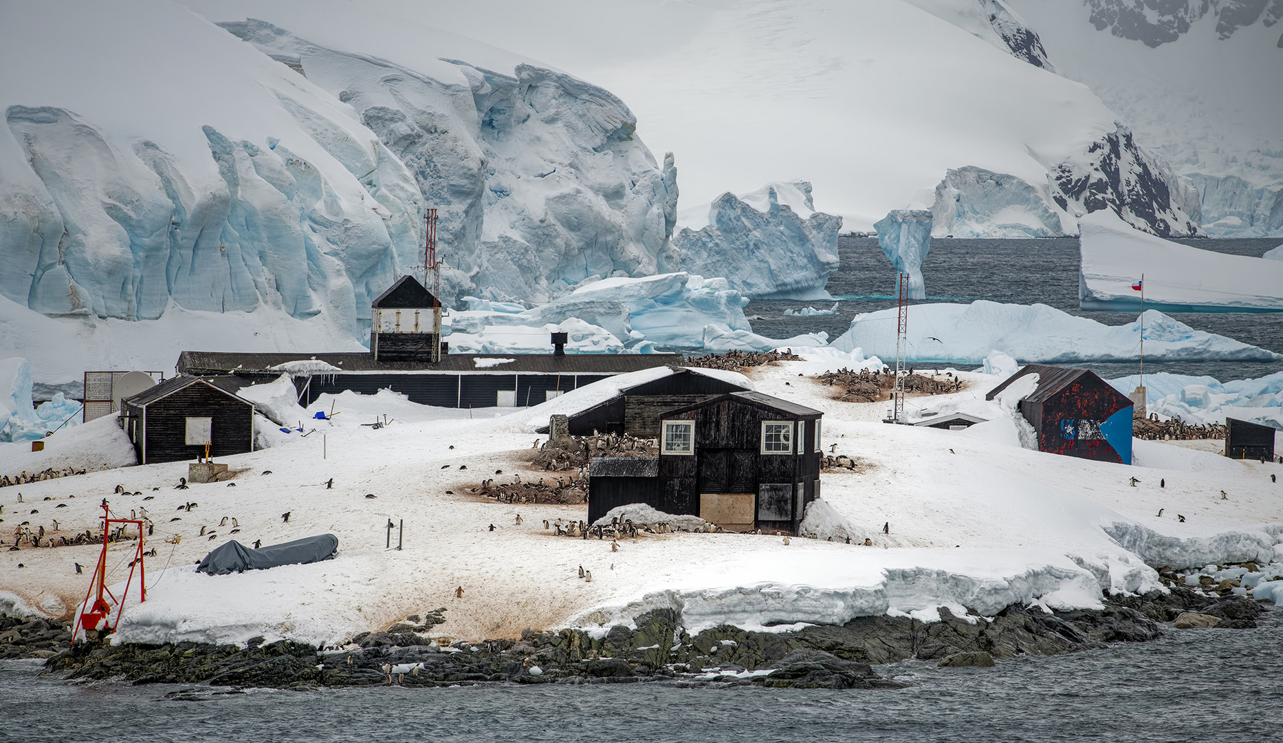 4170T Antarktis Paradies Bay Chilenische Forschungstation erobert von Pinguinen