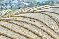 418 - Ping'an - Paddy Fields