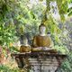 1000 Budha-Statuen