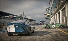 42. AvD-OGP 2014 / AC Shelby Cobra Daytona Coupe & Ford GT 40