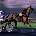 42 trot à vincennes