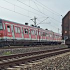 420 317-0 als S7 nach Frankfurt