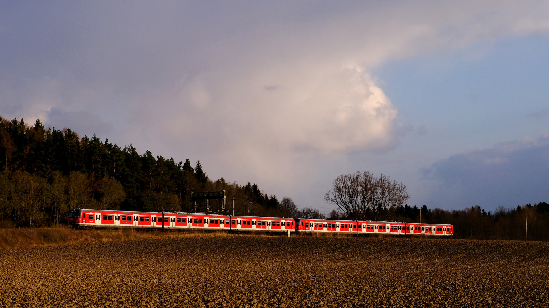 420-er im Abendlicht 