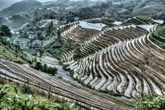 420 - Ping'an - Paddy Fields