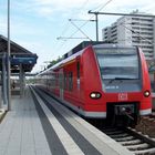 425 231 S-Bahn VRN