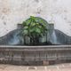 FUENTE CON PLANTA