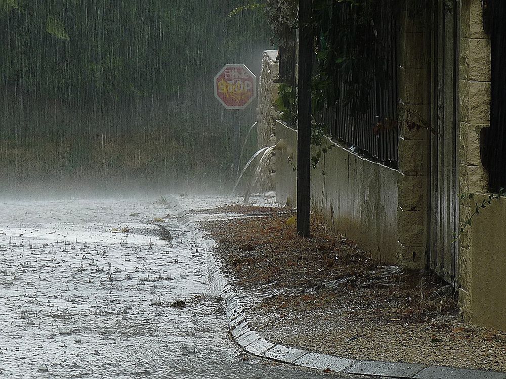 Stop à l'orage de Tweety30 