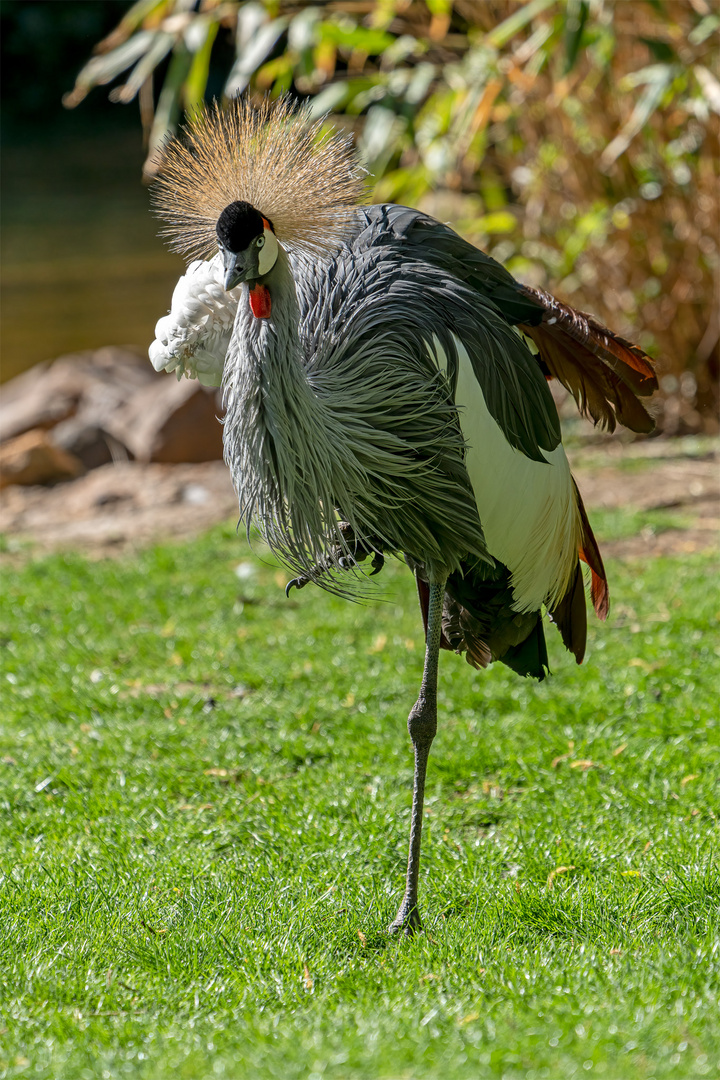 42_Zoo Hannover