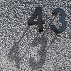 43